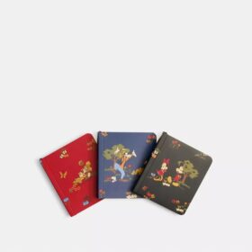 Disney X Coach Mini-Notizbuch-Set mit Micky Maus und Freunden