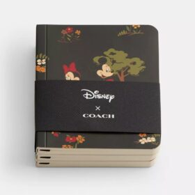 Disney X Coach Mini-Notizbuch-Set mit Micky Maus und Freunden