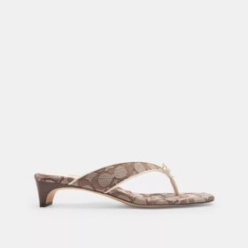 Kitten-Absatzschuh mit Schleife am Riemen aus charakteristischem Jacquard