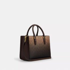 Maggie kleine Tote-Bag aus Ombre-Signature-Canvas