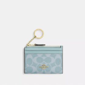 Mini Skinny ID-Etui aus Signature Canvas