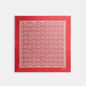 Quadratischer Seidenschal mit strukturiertem Signature-Print